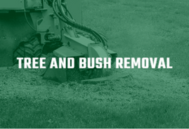 bush tree removal