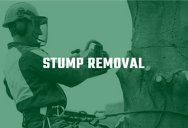 stump removal