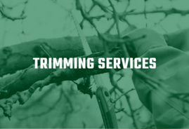 trimming services